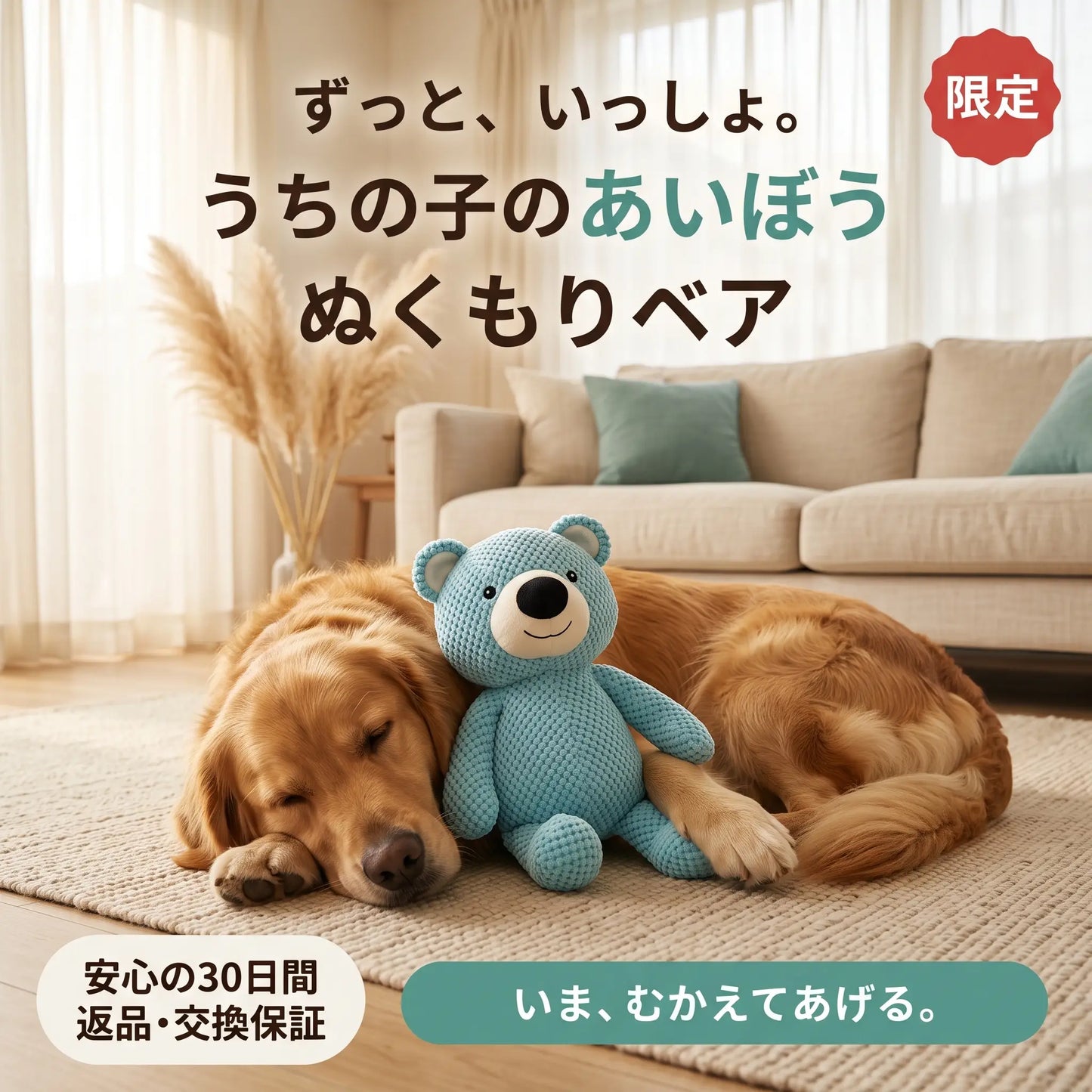 なでなでベア 犬用ぬいぐるみ