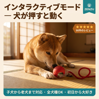 自動で動く ペット用ボール