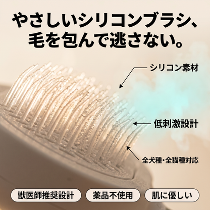 Steami Pro Zenzu