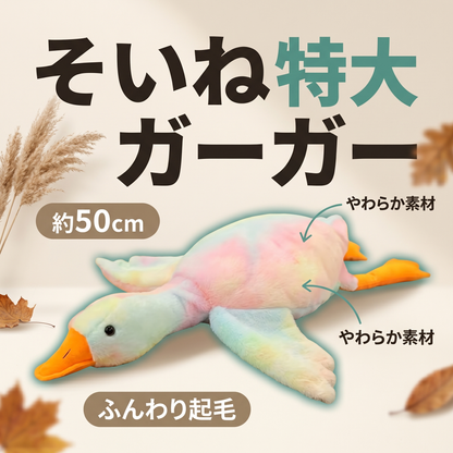 ペット用 ぬいぐるみおもちゃ｜4個選んでお支払いは3個分だけ