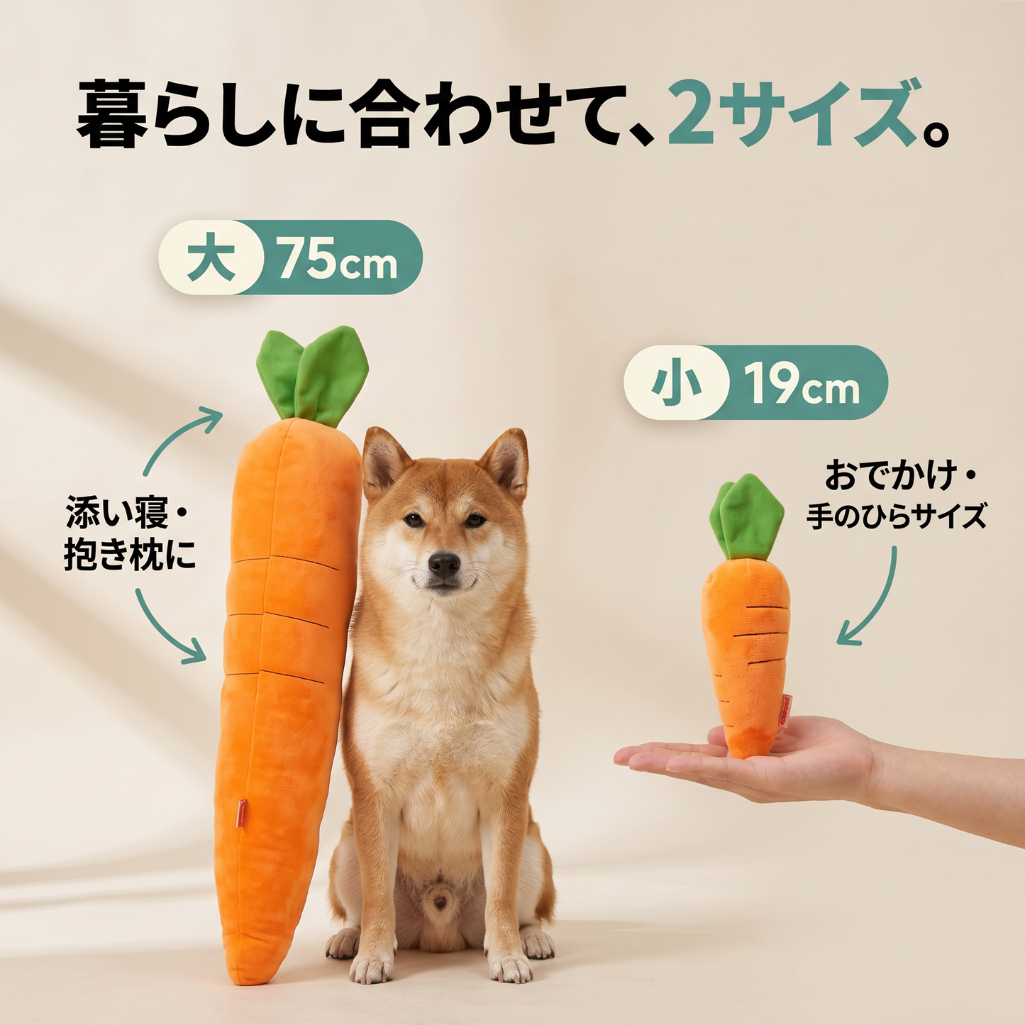 カーミングキャロット