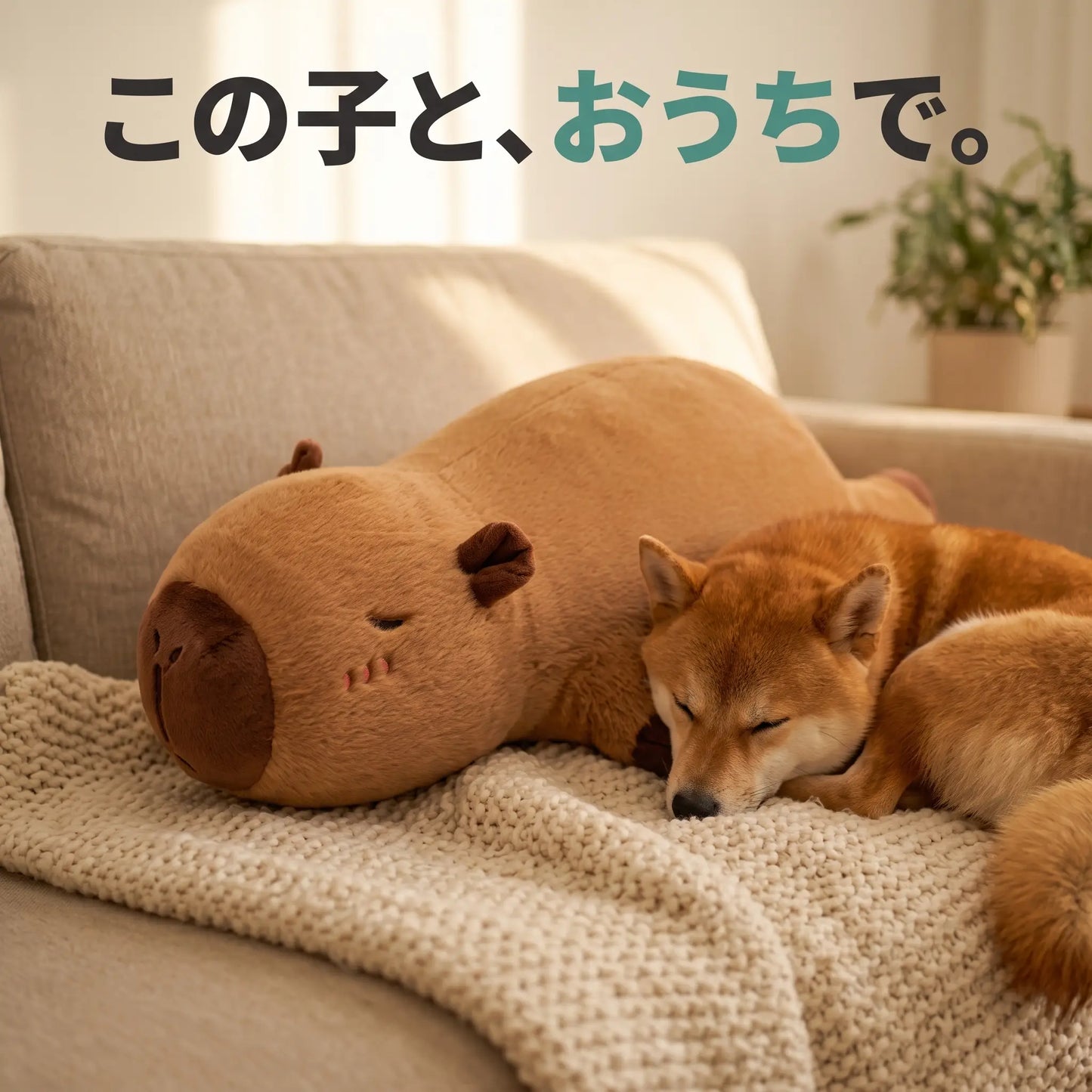 ごろんとカピバラ
