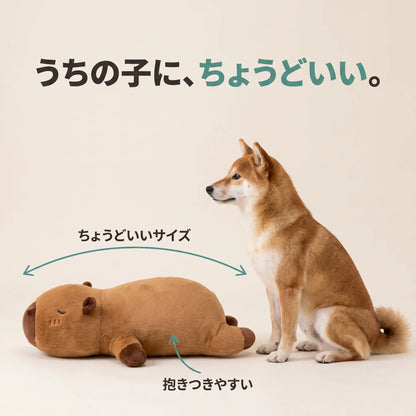 ごろんとカピバラ