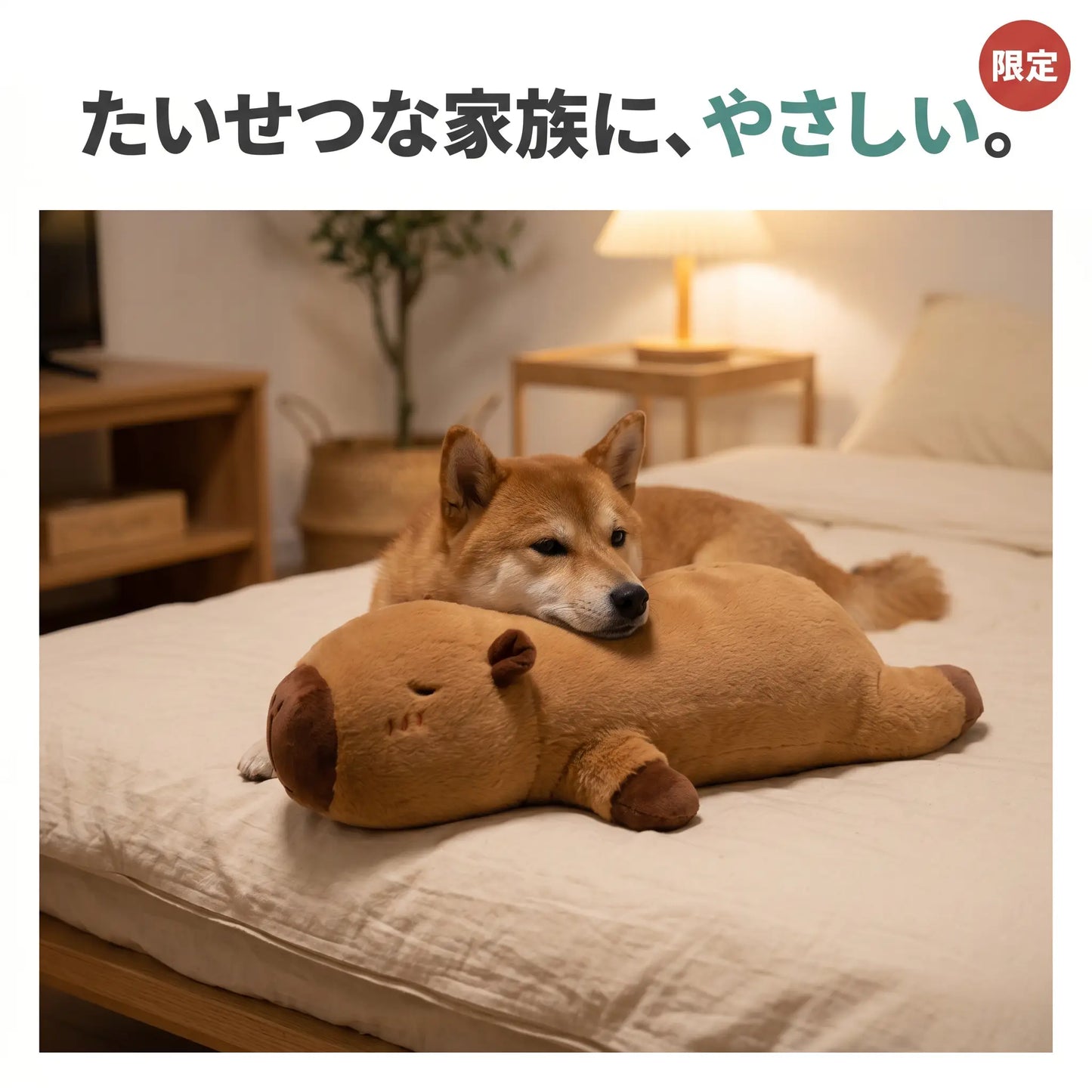 ごろんとカピバラ