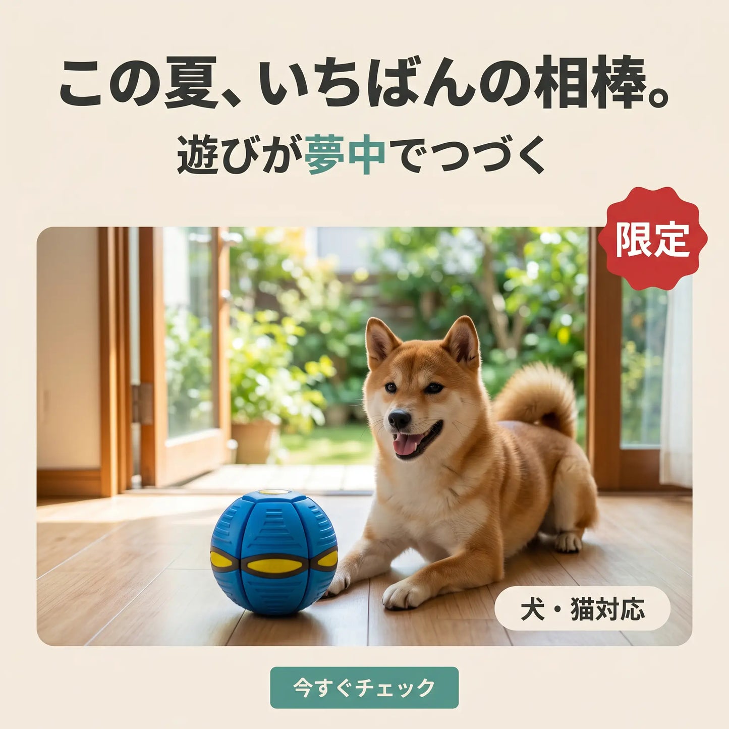 へんしんUFOボール