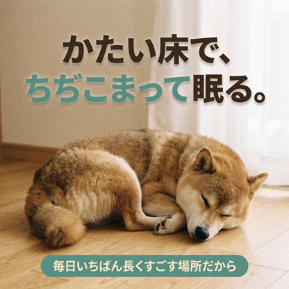 ぐっすりベッド